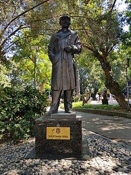Süleyman Seba statue in Istanbul 20200629.jpg