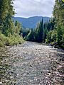 Salmo River in Ymir BC