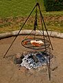 Schwenkgrill neu