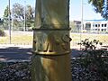 Sewerage Vent, West Perth, December 2021 04
