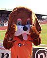 Spytty the Dog