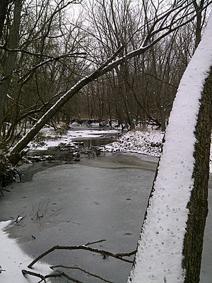 Stevens Creek, Macon County IL, January 2013