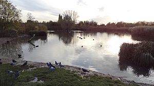 Sutcliffe Park lake 2