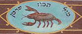 Synagoga Kupa - znaki zodiaku 09