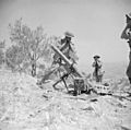 The British Army in Sicily 1943 NA5666