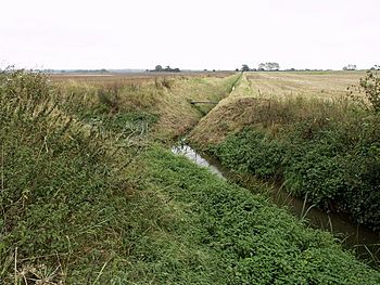 a deep narrow channel between two fields