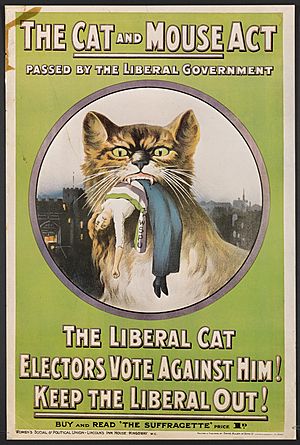 The cat and mouse act passed by the Liberal government - buy and read The Suffragette (9555365303)