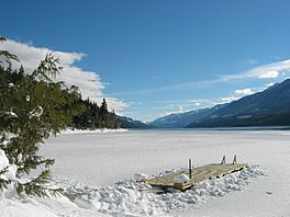 Trout Lake winter.JPG
