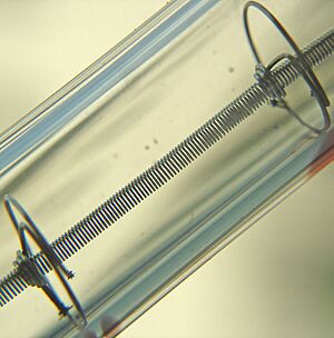 Tungsten filament in halogen lamp