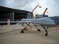 UAV Predator Italian Air Force