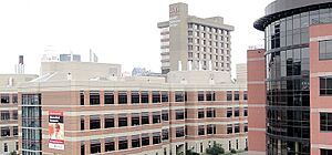 University of Louisville School of Medicine Overview