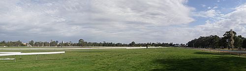 Vic Park Panorama