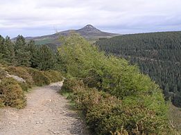 View Of SugarLoaf Mtn From Maulin Mtn Co Wicklow 6thApr 2012