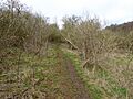 Wadenhoe Marsh and Achurch Meadow 2