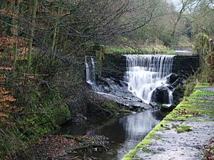 Weir on Pendle Water, Roughlee - geograph.org.uk - 622725