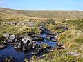 West Dart 2