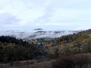 Willamette Valley fog