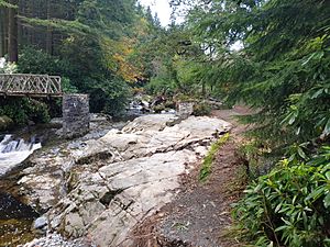 Wooden bridge and path damage - Tollymore