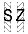 Yarn twist S-Left Z-Right