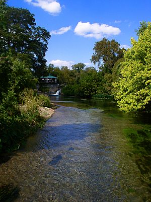08-10-26 - San Marcos River, San Marcos, TX, USA - downstream from the headwaters
