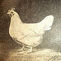 1933-Lamona pullet