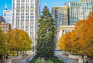 20151205 ChicagoChristmasTree