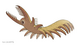 20191118 Megadictyon cf. haikouensis.png