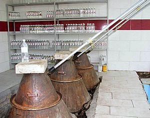 A manufactory of rose water in Kashan