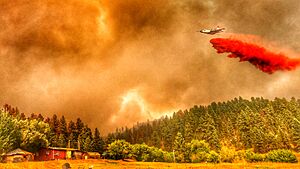 Aircraft drops fire retardant on the 2021 Richard Spring Fire in Montana, photo by Phil Millette, FWS