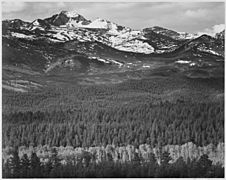 Ansel Adams - National Archives 79-AA-M01