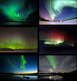Aurora Borealis and Australis Poster