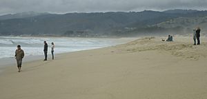 Beachgoers at Francis Beach in California