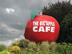 Big Apple Waitomo