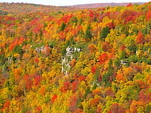 Blackwater-canyon-fall-colors - West Virginia - ForestWander