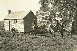 Bogong Fitzgeralds Hut 1940