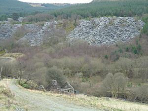 Bryn Eglwys quarry - 2008-03-18