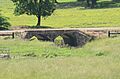 Cedar Creek Bridge