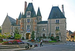 Château d'Aubigny-sur-Nère-114-2008-gje