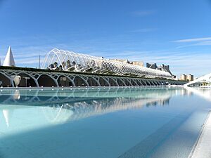 Ciutat de les Arts i les Ciències, València, Valencia, Spain - panoramio (6)
