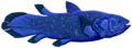 Coelacanth flipped