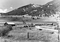CrailRanch about 1955