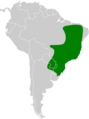 Dendrocolaptes platyrostris map