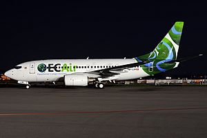 ECAir Boeing 737-700 at Zurich Airport