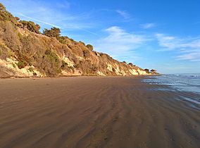 El Capitán State Beach beachview.jpg