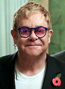 Elton John November 2015