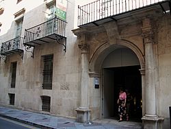 Entrada al Museu de Belles Arts Gravina.jpg