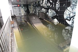 Escalator under Water @ South Ferry (8141518609)