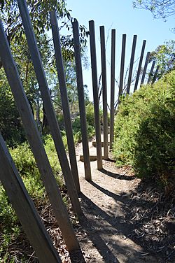 Falling Fence (John Gollings with Samantha Slicer 2001)