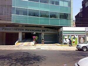 Federación Mexicana de Fútbol