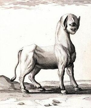Feuillee